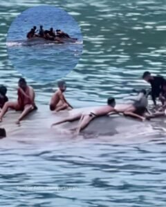 Video Anak NTT Bermain dengan Ikan Paus, Seperti Film Avatar