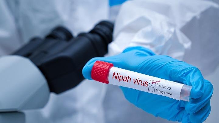 Kasus Baru Nipah Terdeteksi