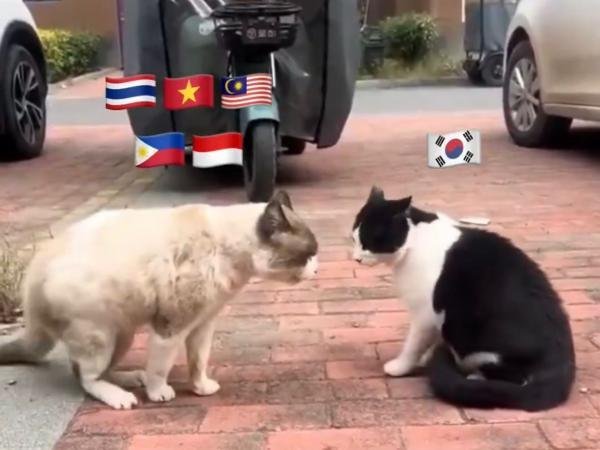 Dari Konser K-Pop Jadi Perang Digital: Asal Mula ‘SEAblings’